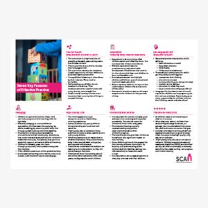 Seven Key Features of Effective Practice